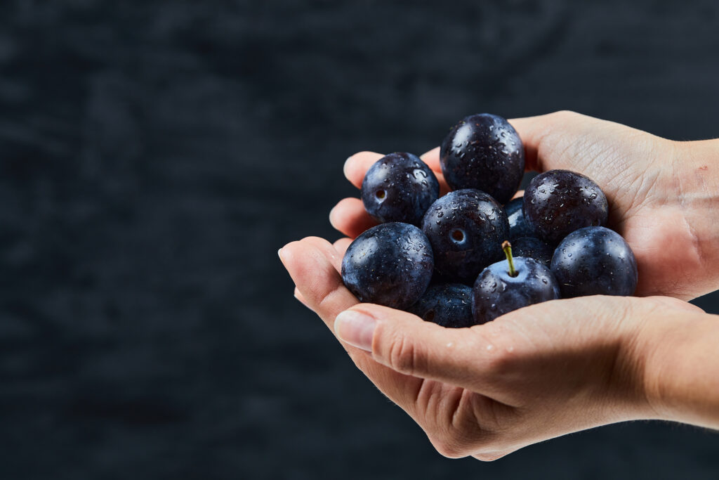 Hand holding fresh plums on a dark background